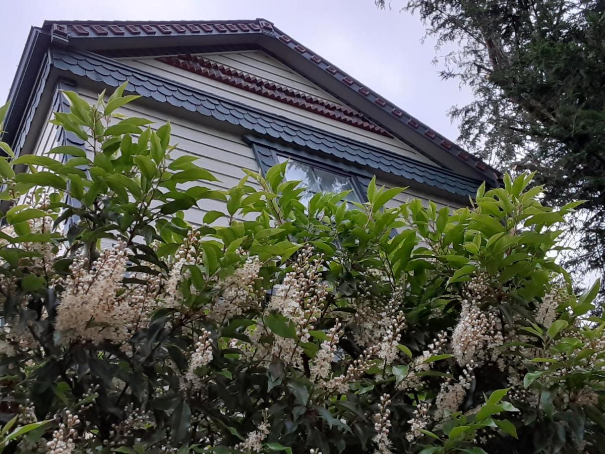 Sea Birds Cottage วิกตอเรีย ภายนอก รูปภาพ