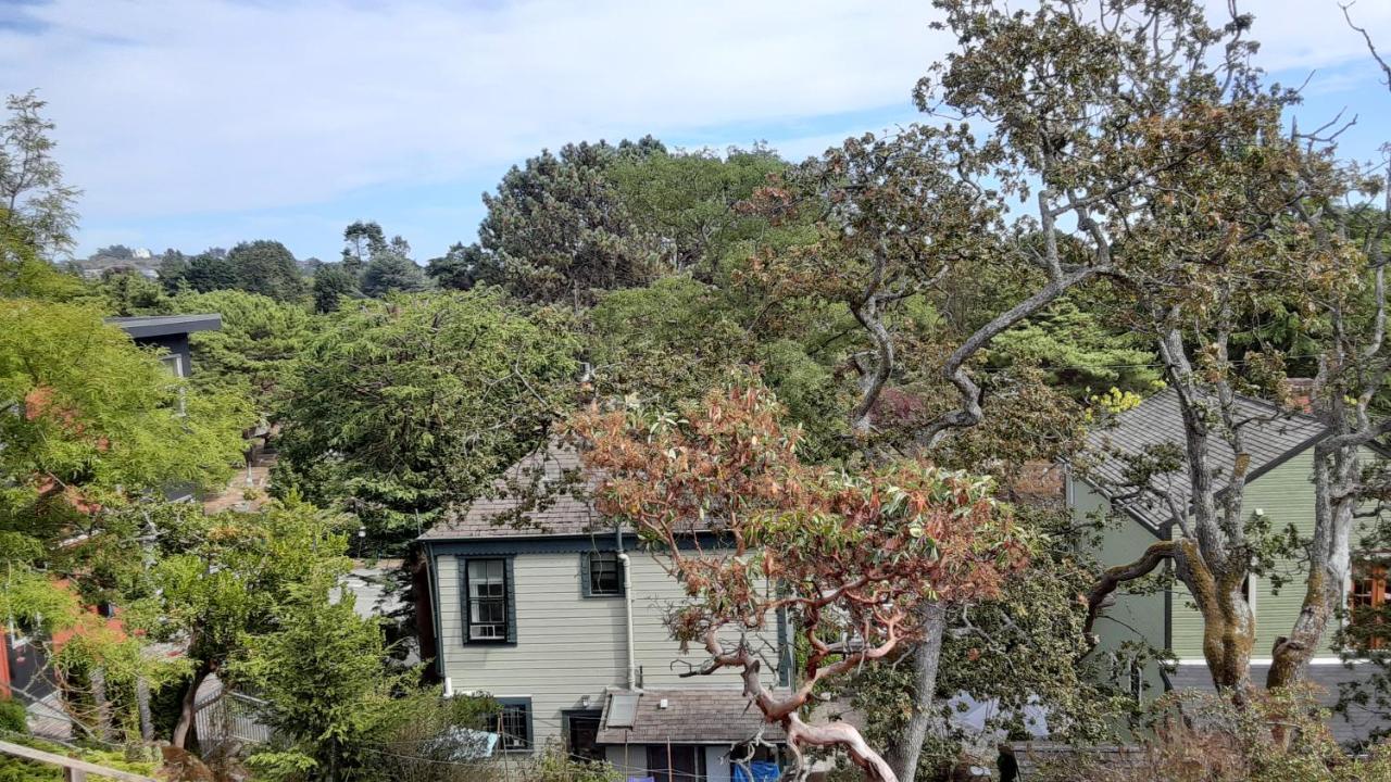 Sea Birds Cottage วิกตอเรีย ภายนอก รูปภาพ